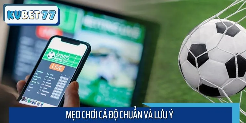 Lưu ý áp dụng mẹo chơi cá độ bóng chuẩn xác