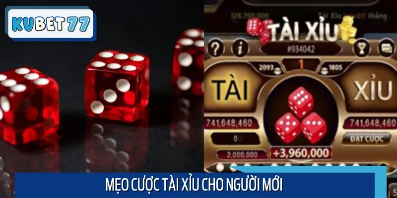 Mẹo cược Tài Xỉu dành cho người chơi mới