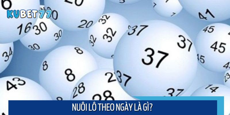 Tìm hiểu về phương pháp nuôi lô theo ngày