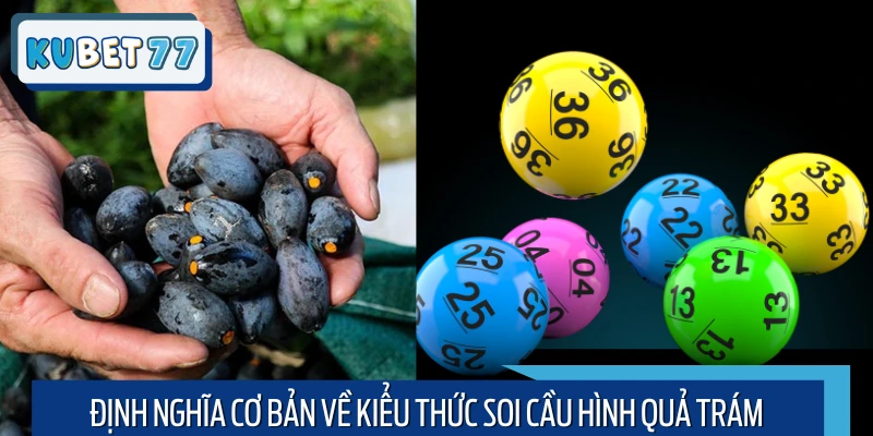 Tìm hiểu về soi cầu quả trám nghĩa là gì?